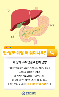 놓치면 늦습니다… 지금 꼭 알아야 할 '간담췌암'